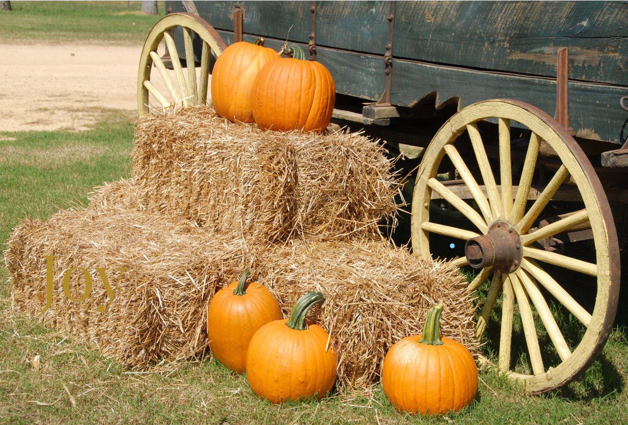 Fall Event